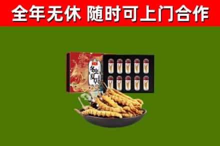 万宁回收冬虫夏草价格